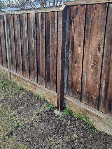 Should I Repair Or Replace My Fence Amm Fencing